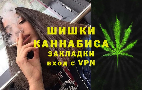 PSILOCYBIN Абаза