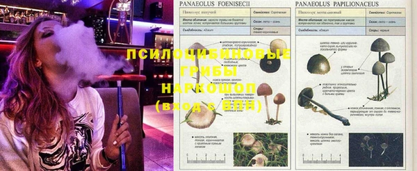 прущая мука Абдулино