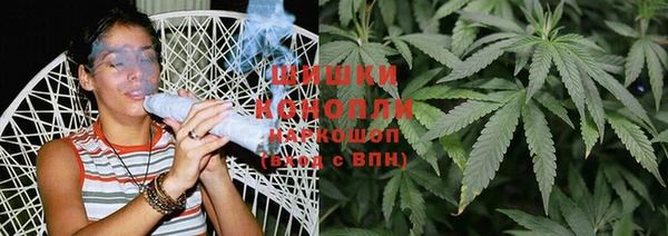 PSILOCYBIN Абаза
