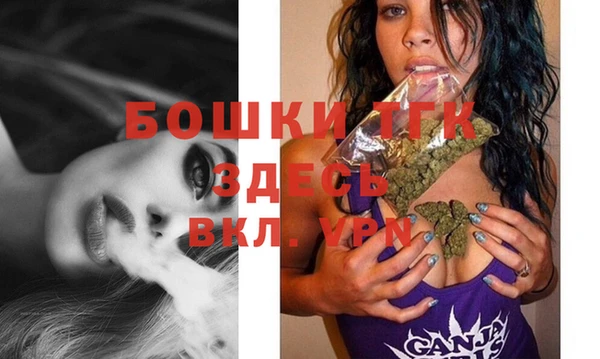 PSILOCYBIN Абаза
