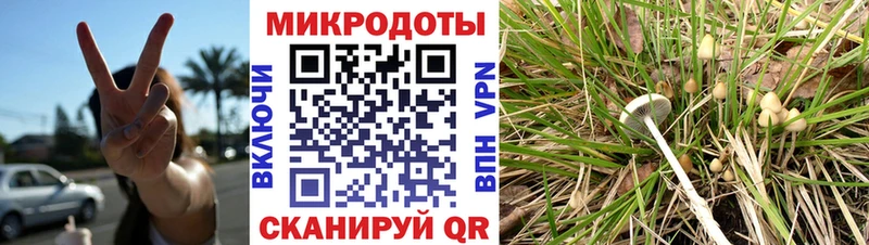 Псилоцибиновые грибы мухоморы  mega как войти  Стерлитамак 