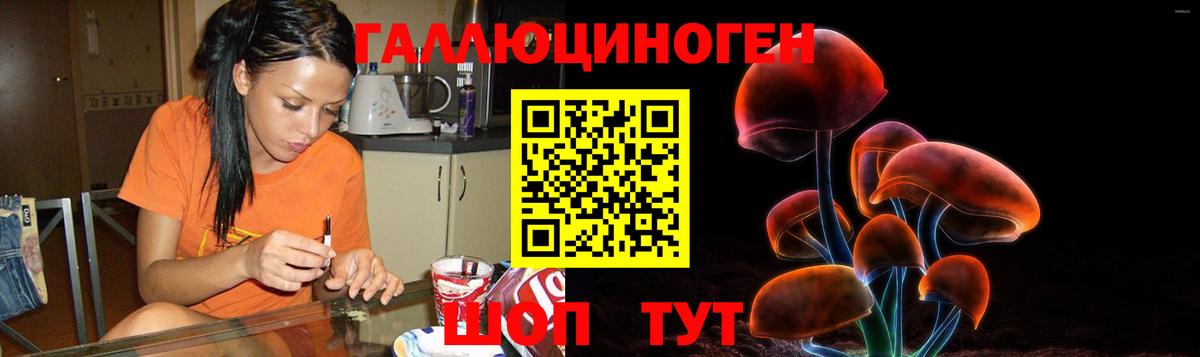 Псилоцибиновые грибы ЛСД  магазин  наркотиков  Стерлитамак  Псилоцибиновые грибы Psilocybine cubensis  Вход с VPN 